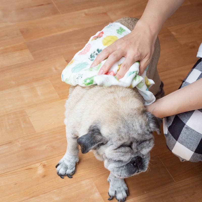 Printed Japanese Dishcloth - Walking Puppies