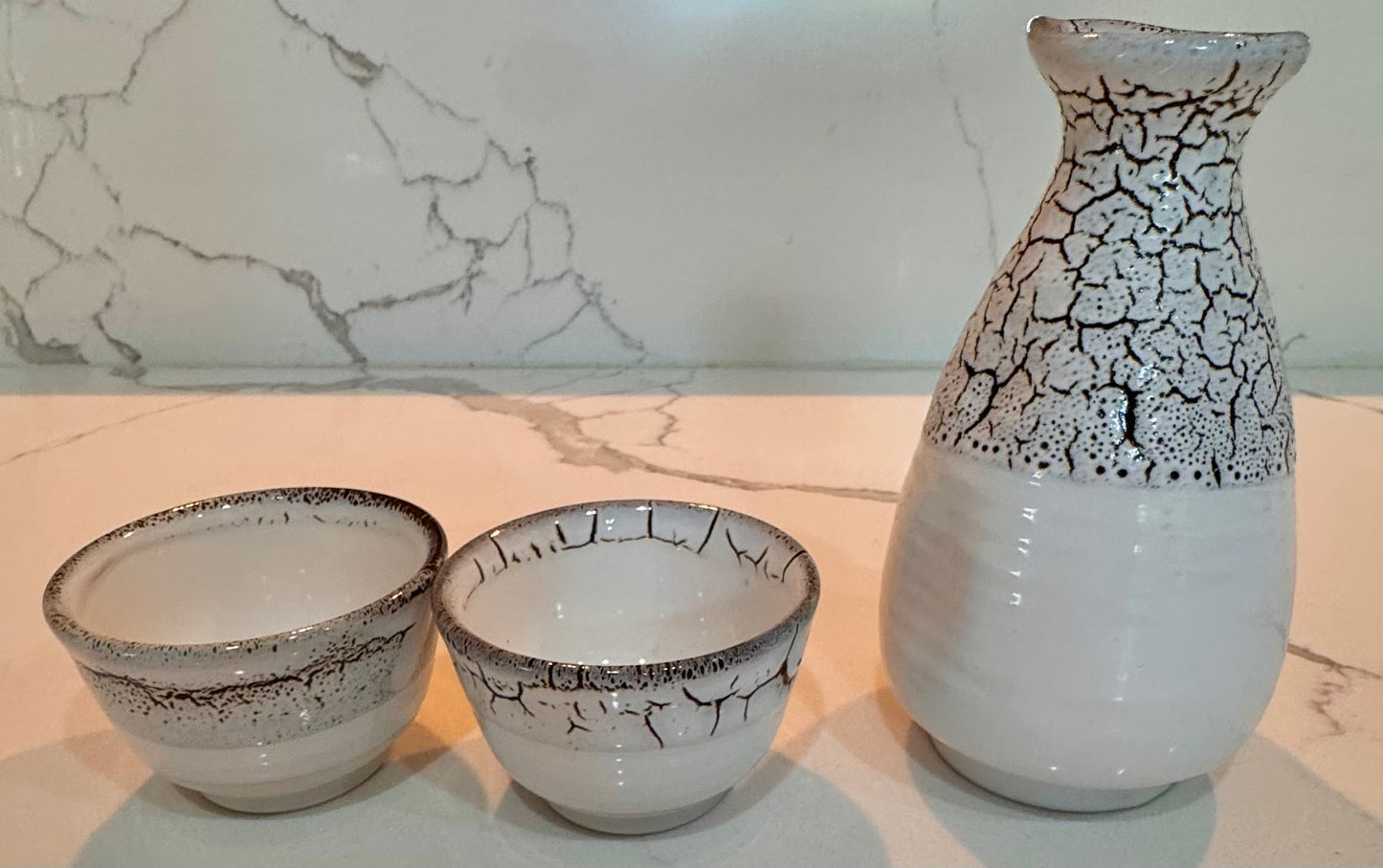 Black & White Crackle Sake Set