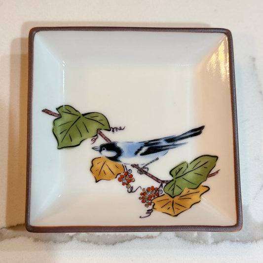 Curious Scrub Jay Square Dish
